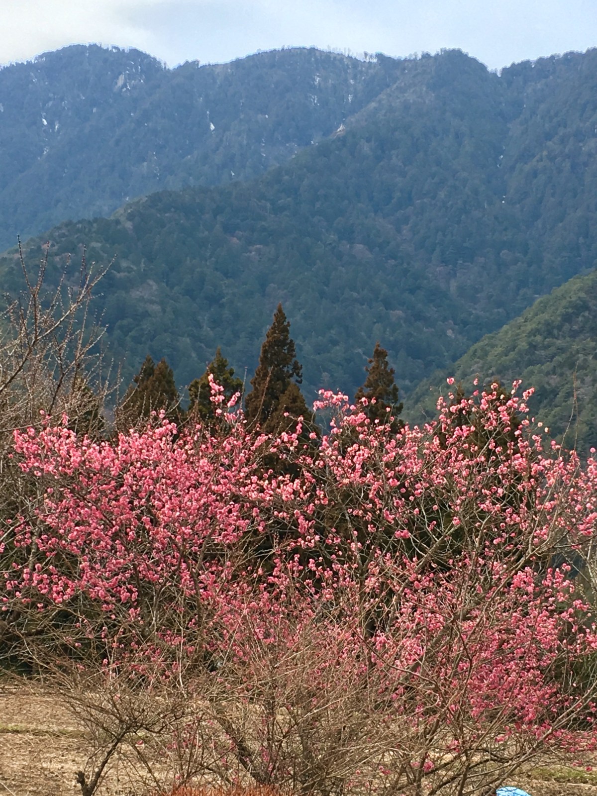 Japan 2017, Nakasendo trail&nbsp;(3)
